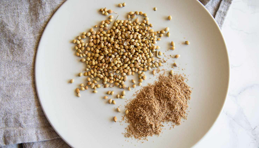CORIANDER SEEDS