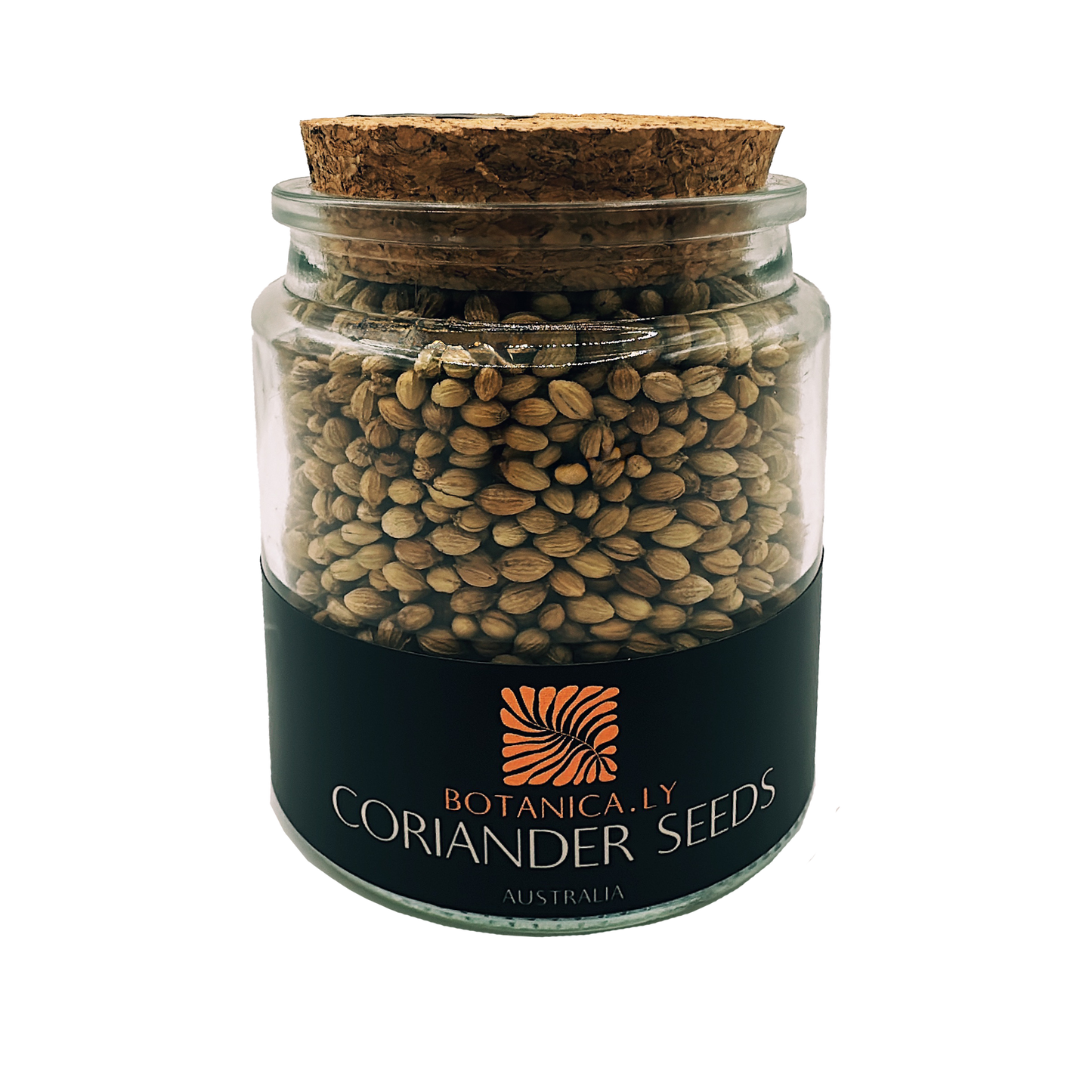 CORIANDER SEEDS
