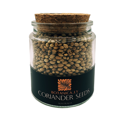 CORIANDER SEEDS