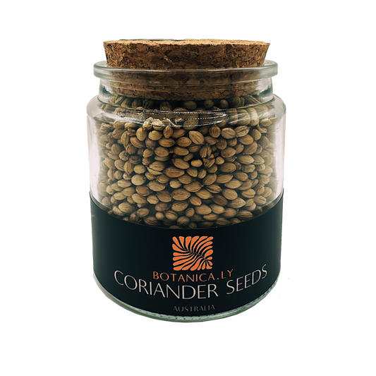 CORIANDER SEEDS